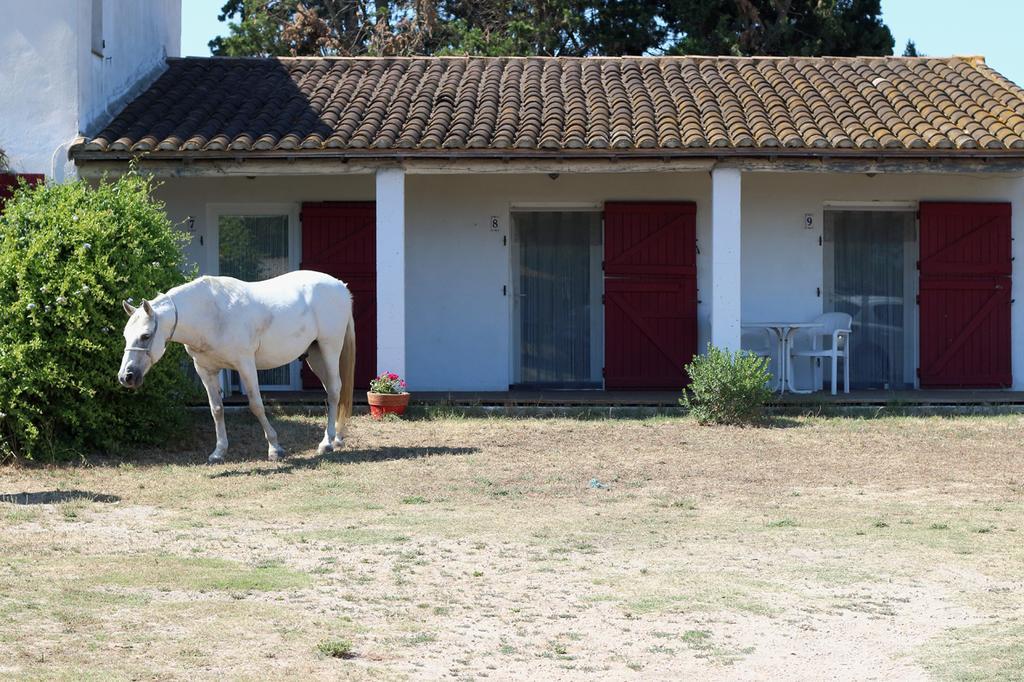 Ferienwohnung Mas Des Cypres Saintes-Maries-de-La-Mer Exterior foto