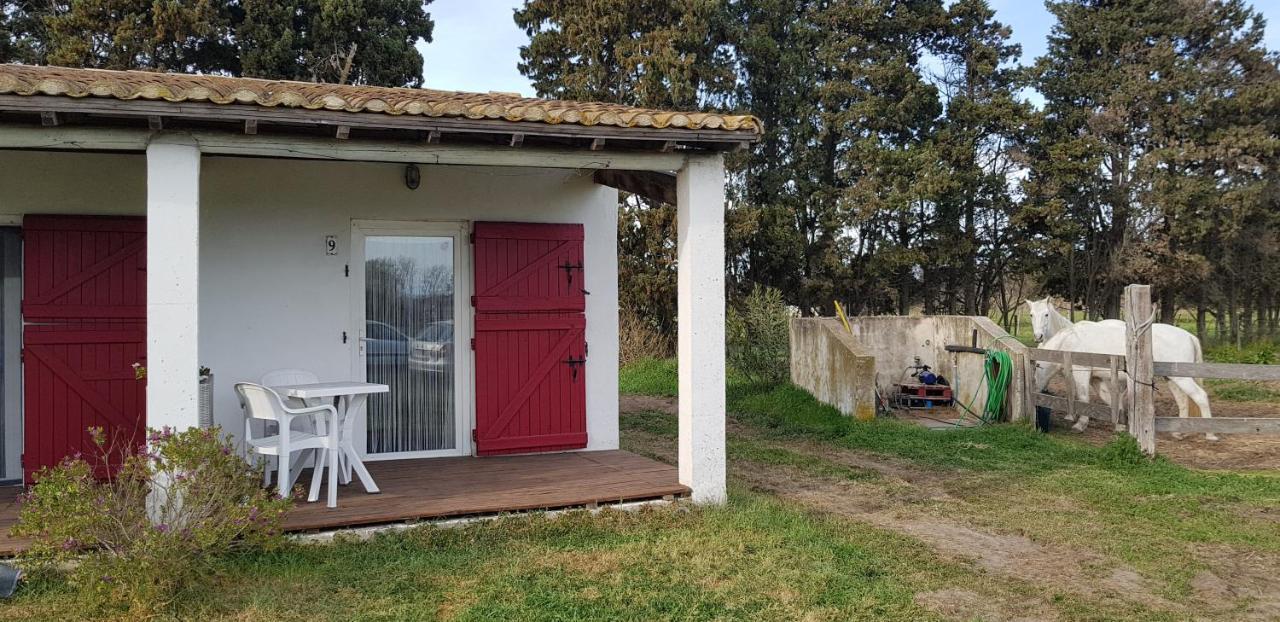 Ferienwohnung Mas Des Cypres Saintes-Maries-de-La-Mer Exterior foto