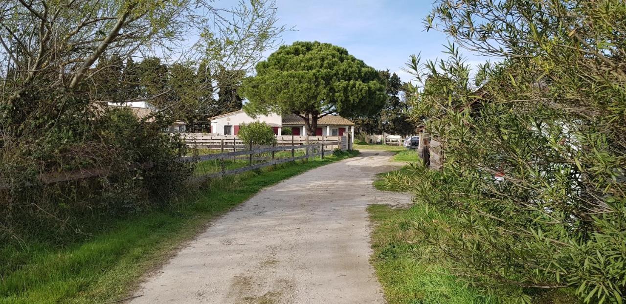 Ferienwohnung Mas Des Cypres Saintes-Maries-de-La-Mer Exterior foto